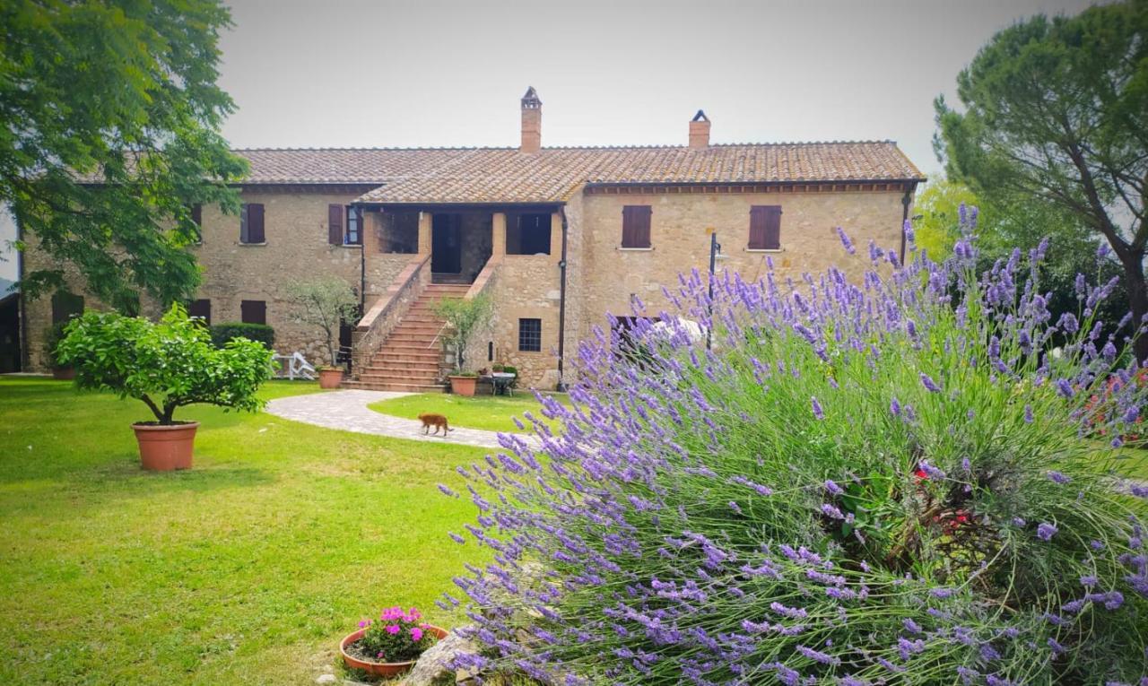 Agriturismo Podere Luchiano อเมเลีย ภายนอก รูปภาพ