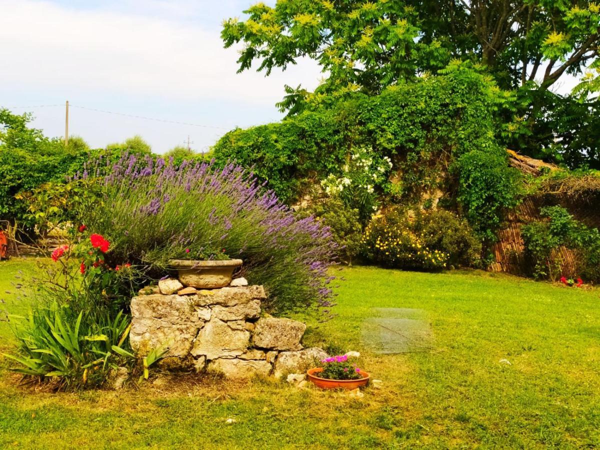 Agriturismo Podere Luchiano อเมเลีย ภายนอก รูปภาพ