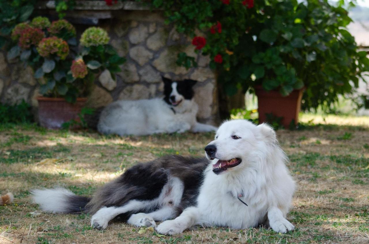 Agriturismo Podere Luchiano อเมเลีย ภายนอก รูปภาพ