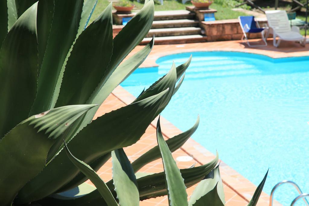 Agriturismo Podere Luchiano อเมเลีย ภายนอก รูปภาพ