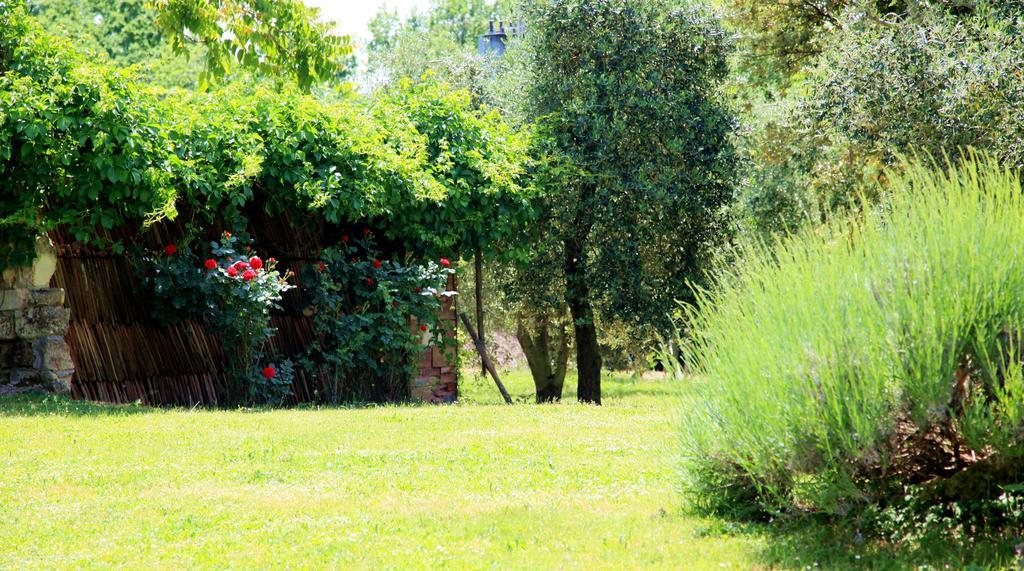 Agriturismo Podere Luchiano อเมเลีย ภายนอก รูปภาพ