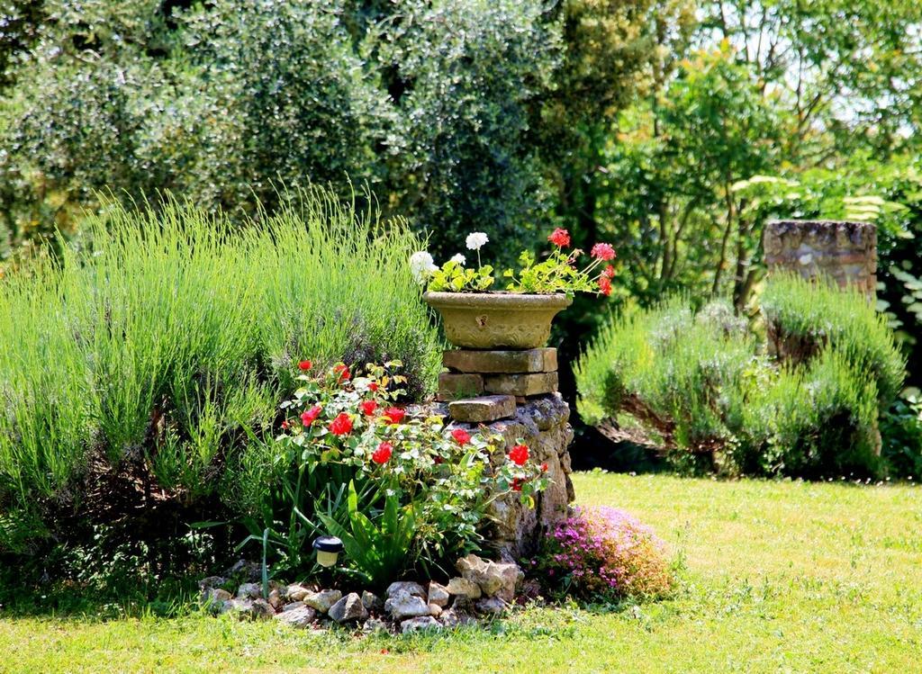 Agriturismo Podere Luchiano อเมเลีย ภายนอก รูปภาพ