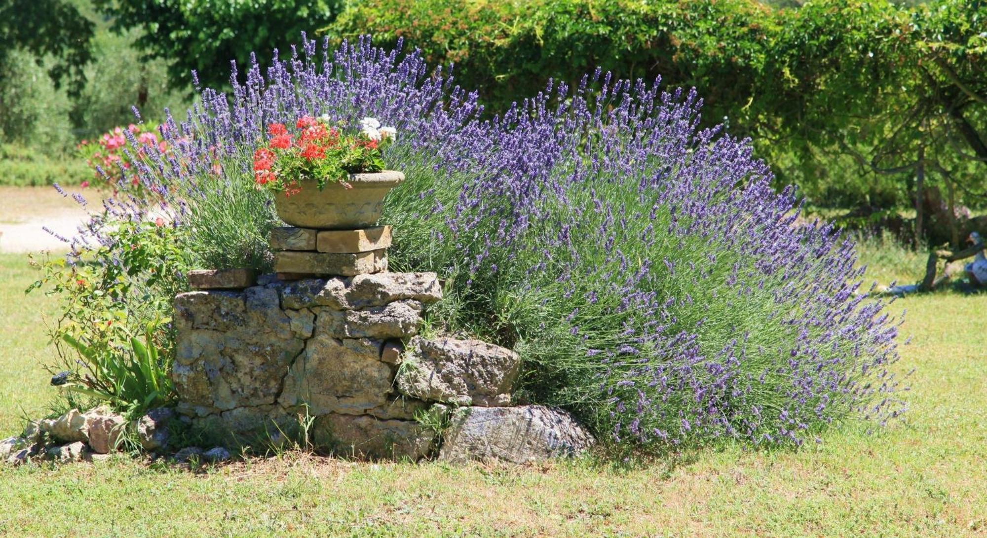 Agriturismo Podere Luchiano อเมเลีย ภายนอก รูปภาพ