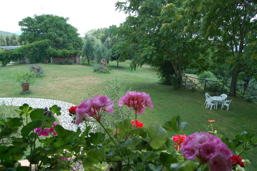 Agriturismo Podere Luchiano อเมเลีย ภายนอก รูปภาพ